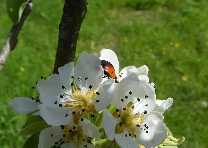 ベッド・アンド・ブレックファスト La Gaggiaspina 3*